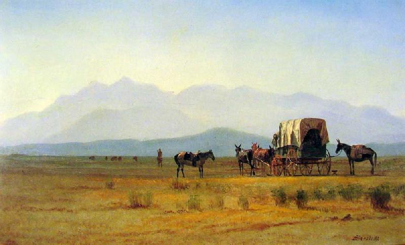  Surveyor's Wagon in the Rockies